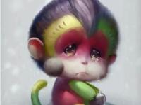 ���������ר��