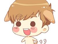 ��������Ҷ��ר��