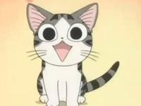 ������Ҷ����ר��