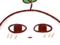 ����ҹ�����е�ר��