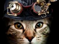 ���뷽�˵�ר��