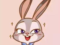 ���밢�Ϲֵ�ר��