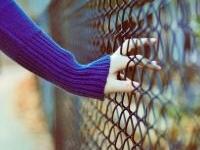 ����rosmarinus��ר��