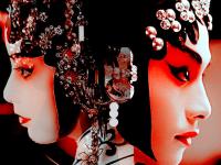 ���벮����ר��