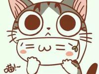 �������ִ�ʵ�ר��