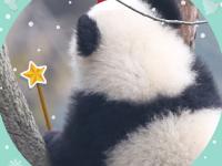 �����������һ�ŵ�ר��