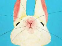 ����һҶ���ר��