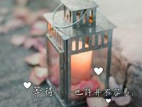 ������ε�ר��