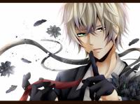 �����ī�ֵ�ר��