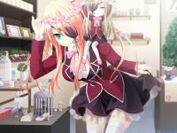 进入杏丽的专栏