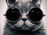 �����庮ϫ��ר��