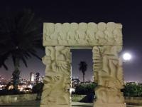 �����L��ר��