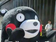 �����㾩���ר��