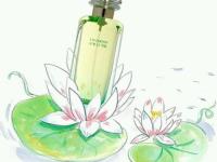 ����պհͷƵ�ר��