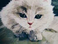 ���벻������ר��