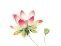 ������ʵ�ר��