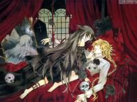 ����catmeet��ר��