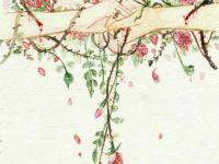 ����ǧ�ǵ�����ר��