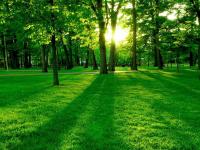 ����������ĵ�ר��