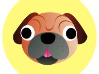 ���벻�ӴеĿ������ר��