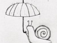 ������Ƚ��ר��