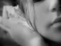 ������׵�ר��