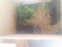 �������������ר��