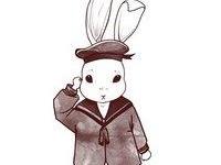 ������͵�ר��