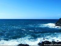 ����������ר��