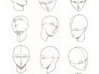 ����紵�̶�����ר��