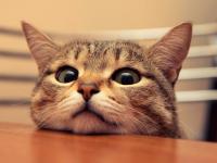 ����o�յ�ר��