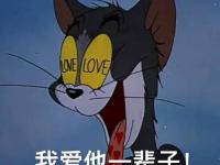 ����������ר��