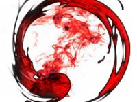 ���������ר��