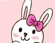 ������Ƶ�ר��