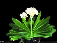 ����һ�ʷ��µ�ר��