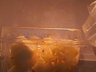 进入猪精大人的专栏