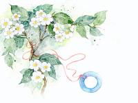 进入月境的专栏