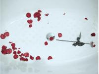 ������һ��ר��