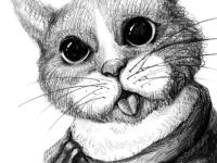 进入橘猫没有细腰的专栏