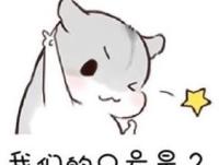 ������С����ר��