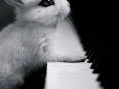 进入浊清的专栏