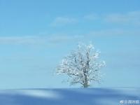 ��������δ����ר��