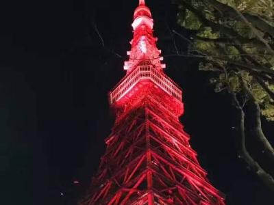 ������鲻���ǵ�ר��