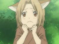 ��������ȴ��ר��