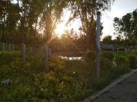 �M����С�]����Č���