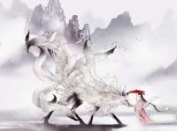 进入小夜曲的专栏