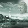 进入evergreen的专栏