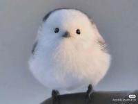 ����ʱ���ר��