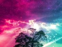 �����β���ר��