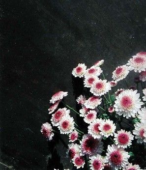 ָ������